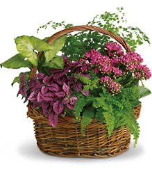 Secret Garden Basket from Visser's Florist and Greenhouses in Anaheim, CA